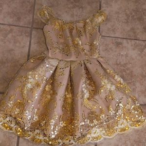Beautiful Sequin dress